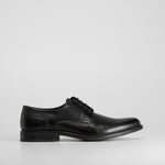 Zapato blucher basic piel FOSCO