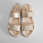 Sandalia cierre doble velcro oro COMFEET