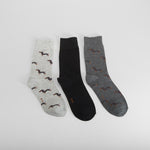 Pack 3 calcetines teckel multicolor MERKAL