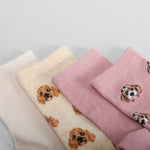 Pack 5 calcetines perritos multicolor MERKAL